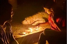 রাত ৯'টা বাজতেই প্রদীপ জ্বালিয়ে প্রধানমন্ত্রী পাশে দাঁড়ালেন তাররাকারা
