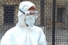 নিউ ইয়র্কে বাঘের শরীরে Coronavirus মেলার জের, Alipore Zoo-র কর্মীরাও পরবেন PPE নিউ ইয়র্কে বাঘের শরীরে Coronavirus মেলার জের, Alipore Zoo-র কর্মীরাও পরবেন PPE