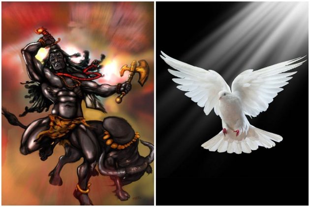• একদিন পার্বতী ভগবান শিবকে জিজ্ঞাসা করলে, আপনি গলায় এতগুলো মুণ্ডধারী মালা কেন পরেন? শিব তখন জবাব দিলেন, তুমি যতবার জন্ম নাও, আমি ততবার একটি করে মুণ্ড এই মালায় যোগকরি। তখন পার্বতী বললেন, আপনি তো অমর। এবার তাহলে আমাকে আপনি অমরত্ব লাভের গল্পটা বলুন। • একদিন পার্বতী ভগবান শিবকে জিজ্ঞাসা করলে, আপনি গলায় এতগুলো মুণ্ডধারী মালা কেন পরেন? শিব তখন জবাব দিলেন, তুমি যতবার জন্ম নাও, আমি ততবার একটি করে মুণ্ড এই মালায় যোগকরি। তখন পার্বতী বললেন, আপনি তো অমর। এবার তাহলে আমাকে আপনি অমরত্ব লাভের গল্পটা বলুন।
