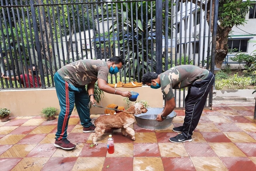 *ডগ স্কোয়াডের দায়িত্বে থাকা অ্যাসিস্ট্যান্ট কমিশনার প্রদীপ পান্ডে বলেন, *ডগ স্কোয়াডের দায়িত্বে থাকা অ্যাসিস্ট্যান্ট কমিশনার প্রদীপ পান্ডে বলেন,