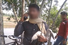 লকডাউনের সুযোগ নিয়ে অবাধে চলছে পরিযায়ী পাখি শিকার ! লকডাউনের সুযোগ নিয়ে অবাধে চলছে পরিযায়ী পাখি শিকার !