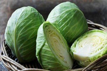 খাওয়ার আগে সাবধান ! বাঁধাকপিতে বাসা বাঁধা কৃমি ঢুকে পড়ছে ব্রেনে, হতে পারে মৃত্যু