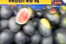 নিজের কাজ ছেড়ে অন্য পেশায় মানুষরা নিজের কাজ ছেড়ে অন্য পেশায় মানুষরা