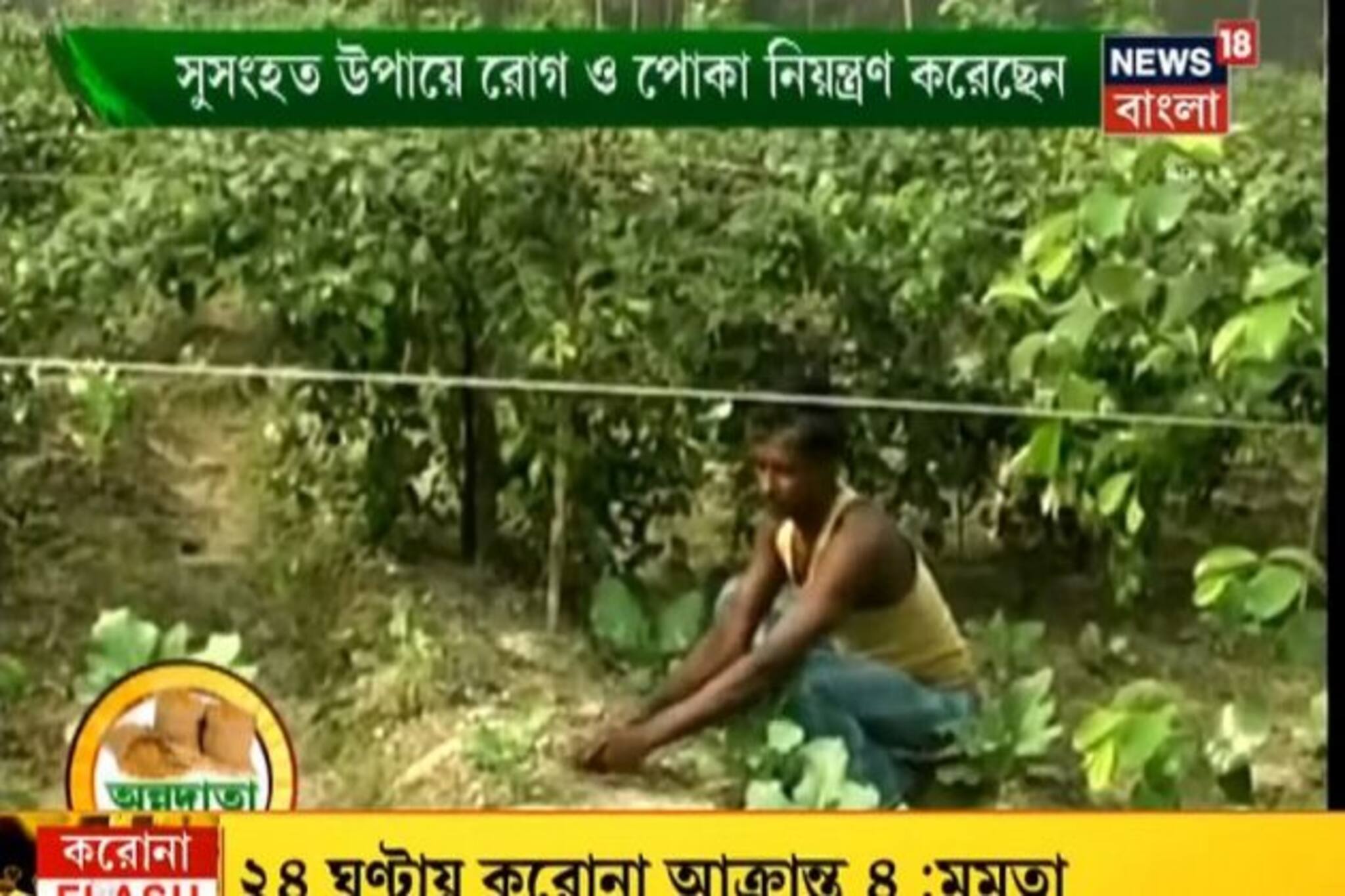 আপেল ও কুল চাষের অভিজ্ঞতা জানালেন কৃষক বন্ধু