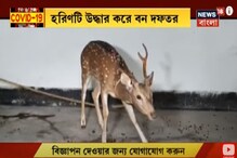 লকডাউনে বাঁকুড়ার রাস্তায় চড়ে বেড়াচ্ছে হরিণ, বিষ্মিত এলাকাবাসী লকডাউনে বাঁকুড়ার রাস্তায় চড়ে বেড়াচ্ছে হরিণ, বিষ্মিত এলাকাবাসী