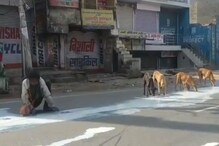 একদিকে কুকুর, অন্যদিকে মানুষ! দেশের রাস্তায় দুধ কুড়িয়ে চলছে বাঁচার লড়াই একদিকে কুকুর, অন্যদিকে মানুষ! দেশের রাস্তায় দুধ কুড়িয়ে চলছে বাঁচার লড়াই