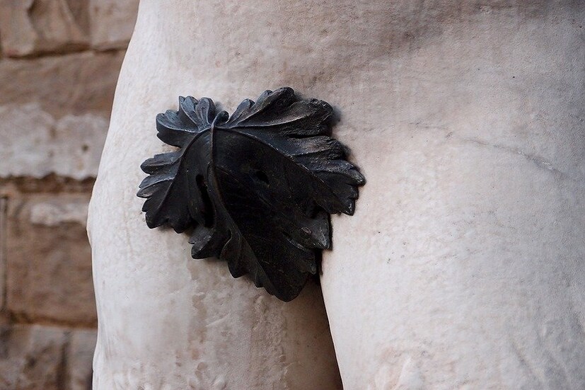 *কিন্তু নিয়মিত গোপনাঙ্গ পরিষ্কার রাখলে তা থাকে উজ্জ্বল৷ ফলে মিলনের সময় সঙ্গী বাড়তি আকৃষ্ট করে৷ 