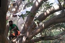 প্রস্তুত 'গাছ বাড়ি', ভিন রাজ্য থেকে ফিরলে কোয়ারেন্টাইন বাধ্যতামূলক, গ্রামবাসীদের উদ্যোগকে কুর্নিশ