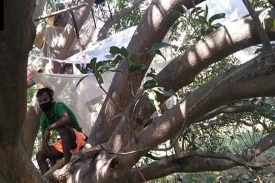 পুরুলিয়ায় এই গাছবাড়িতে কোয়ারেন্টাইনে ছিলেন ৭ যুবক।