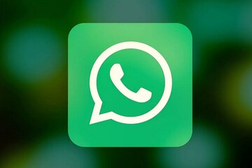 WhatsApp Web-এর নয়া ফিচার, এবার একসঙ্গে ভিডিও কলে কথা বলতে পারবেন ৫০ জন