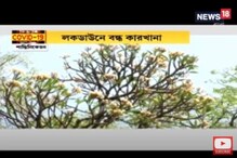 লকডাউনে একধাক্কায় চোখে পড়ার মত কমেছে দূষণ লকডাউনে একধাক্কায় চোখে পড়ার মত কমেছে দূষণ