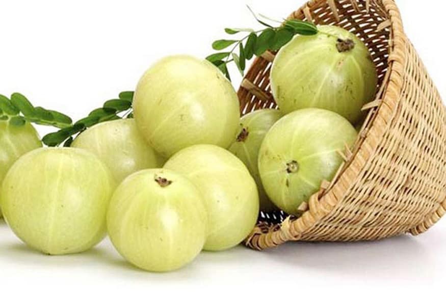 আমলকি শরীরের রোগ প্রতিরোধক ক্ষমতা বাড়িয়ে তোলে। প্রতিদিন একটা কাঁচা আমলকি খাওয়া শরীরের জন্য খুব ভাল। photo source collected আমলকি শরীরের রোগ প্রতিরোধক ক্ষমতা বাড়িয়ে তোলে। প্রতিদিন একটা কাঁচা আমলকি খাওয়া শরীরের জন্য খুব ভাল। photo source collected