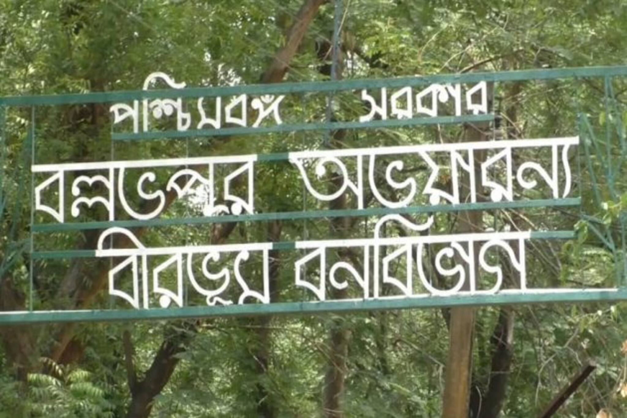 লকডাউনে নেই পর্যটক, নেই সেলফির উৎপাত, মহা আনন্দে ডিয়ার পার্কের হরিণরা
