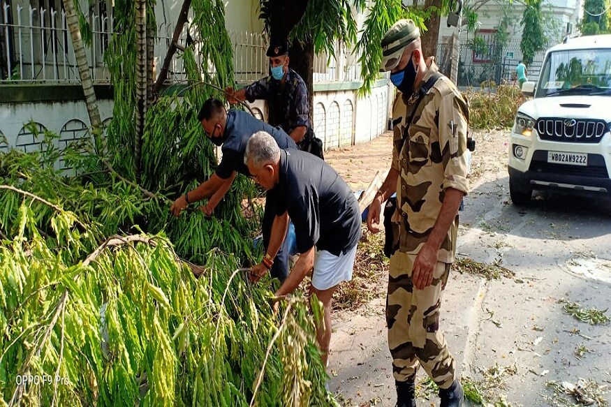 *দিলীপ ঘোষ দেখেন সল্টলেকের সিএল ব্লকের রাস্তায় সার দিয়ে ভেঙে পড়ে রয়েছে সারি সারি গাছ । চারিদিকে রাস্তা বন্ধ । *দিলীপ ঘোষ দেখেন সল্টলেকের সিএল ব্লকের রাস্তায় সার দিয়ে ভেঙে পড়ে রয়েছে সারি সারি গাছ । চারিদিকে রাস্তা বন্ধ ।