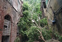 আমফনের প্রভাবে ভেঙে পড়ল ২০০ বছরের পুরনো রানি রাসমণির বাড়ি