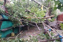 আমফানে বিপর্যস্ত কলকাতা, গাছ পড়ে বন্ধ রুবি কসবা রোড