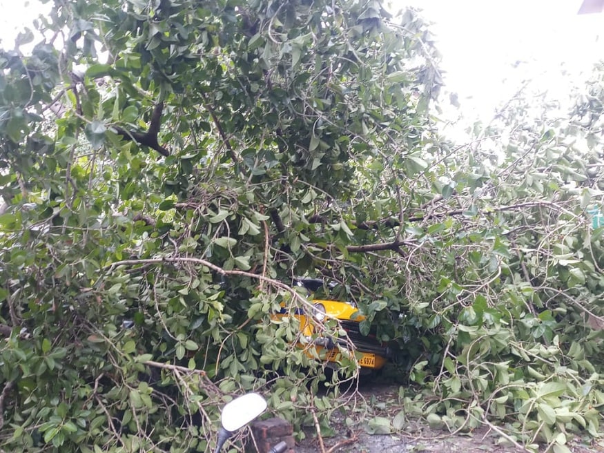 রুবির মোড় থেকে কসবার দিকে যাওয়ার রাস্তা ব্যারিকেড করে বন্ধ করে দেওয়া হয়েছে বুধবার রাত থেকেই। বৃহস্পতিবার সকালেও গাছ পড়ে রাস্তা বন্ধ থাকার ছবি চোখে পড়ল। (Image: DEBAPRIYA DUTTA MAJUMDAR) রুবির মোড় থেকে কসবার দিকে যাওয়ার রাস্তা ব্যারিকেড করে বন্ধ করে দেওয়া হয়েছে বুধবার রাত থেকেই। বৃহস্পতিবার সকালেও গাছ পড়ে রাস্তা বন্ধ থাকার ছবি চোখে পড়ল। (Image: DEBAPRIYA DUTTA MAJUMDAR)