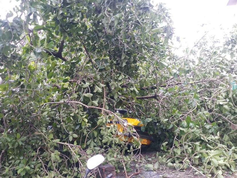 রুবির মোড় থেকে কসবার দিকে যাওয়ার রাস্তা ব্যারিকেড করে বন্ধ করে দেওয়া হয়েছে বুধবার রাত থেকেই। বৃহস্পতিবার সকালেও গাছ পড়ে রাস্তা বন্ধ থাকার ছবি চোখে পড়ল। (Image: DEBAPRIYA DUTTA MAJUMDAR)