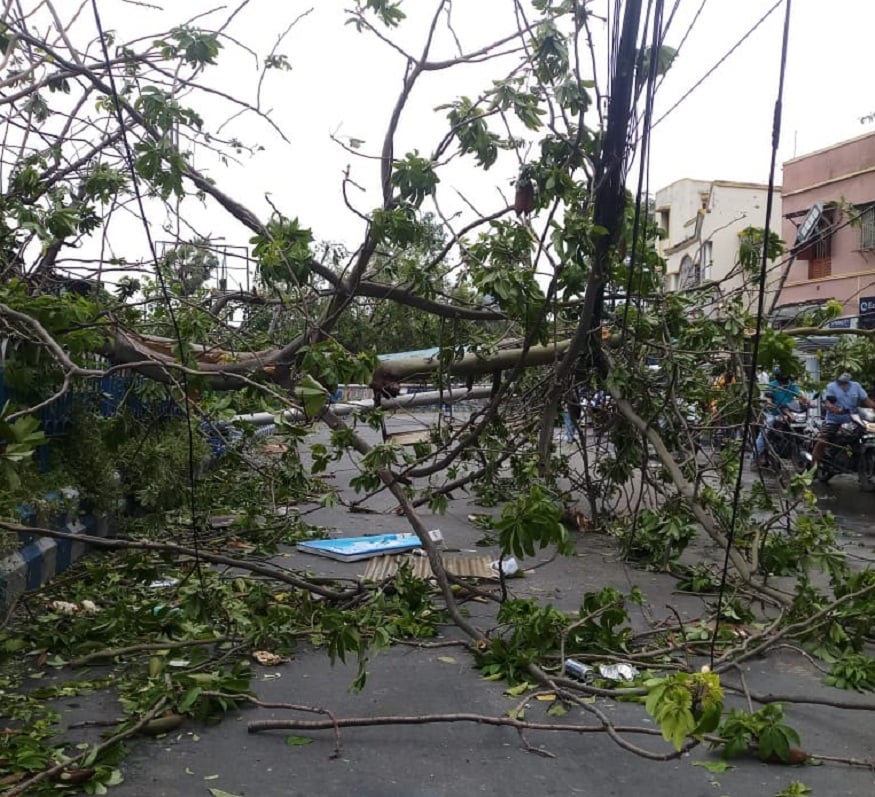 কসবা শীতলা মন্দিরের সামনে অনেকটা জায়গা জুড়ে গাছ উপড়ে পড়ে আছে, ল্যাম্পপোস্ট কেবলের তার মাটিতে লুটিয়ে রয়েছে । বিদ্যুৎ নেই এলাকার একাংশে। (Image: DEBAPRIYA DUTTA MAJUMDAR) কসবা শীতলা মন্দিরের সামনে অনেকটা জায়গা জুড়ে গাছ উপড়ে পড়ে আছে, ল্যাম্পপোস্ট কেবলের তার মাটিতে লুটিয়ে রয়েছে । বিদ্যুৎ নেই এলাকার একাংশে। (Image: DEBAPRIYA DUTTA MAJUMDAR)