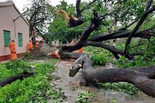 বেলুড়ের এ কী হাল, মঠ প্রাঙ্গনে পড়ে ইতিহাস বিজড়িত বহু গাছ,শোকস্তব্ধ মহারাজরা বেলুড়ের এ কী হাল, মঠ প্রাঙ্গনে পড়ে ইতিহাস বিজড়িত বহু গাছ,শোকস্তব্ধ মহারাজরা