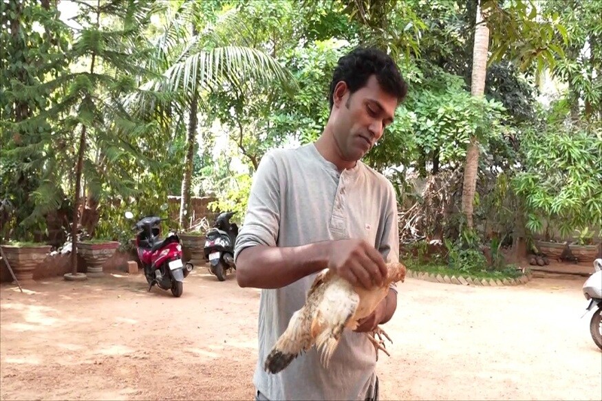 ঘটনার সূত্রপাত ৯ মাস আগে৷ একটি মুরগির ডিমের কুসুমের রং সবুজ দেখে বাকি ডিমগুলো ফুটতে দেন খামার মালিক শিয়াবুদ্দিন৷ সেই ডিম ফুটে স্বাভাবিক নিয়মে বাচ্চাও বেরিয়েছিল৷ PHOTO- COLLECTED ঘটনার সূত্রপাত ৯ মাস আগে৷ একটি মুরগির ডিমের কুসুমের রং সবুজ দেখে বাকি ডিমগুলো ফুটতে দেন খামার মালিক শিয়াবুদ্দিন৷ সেই ডিম ফুটে স্বাভাবিক নিয়মে বাচ্চাও বেরিয়েছিল৷ PHOTO- COLLECTED
