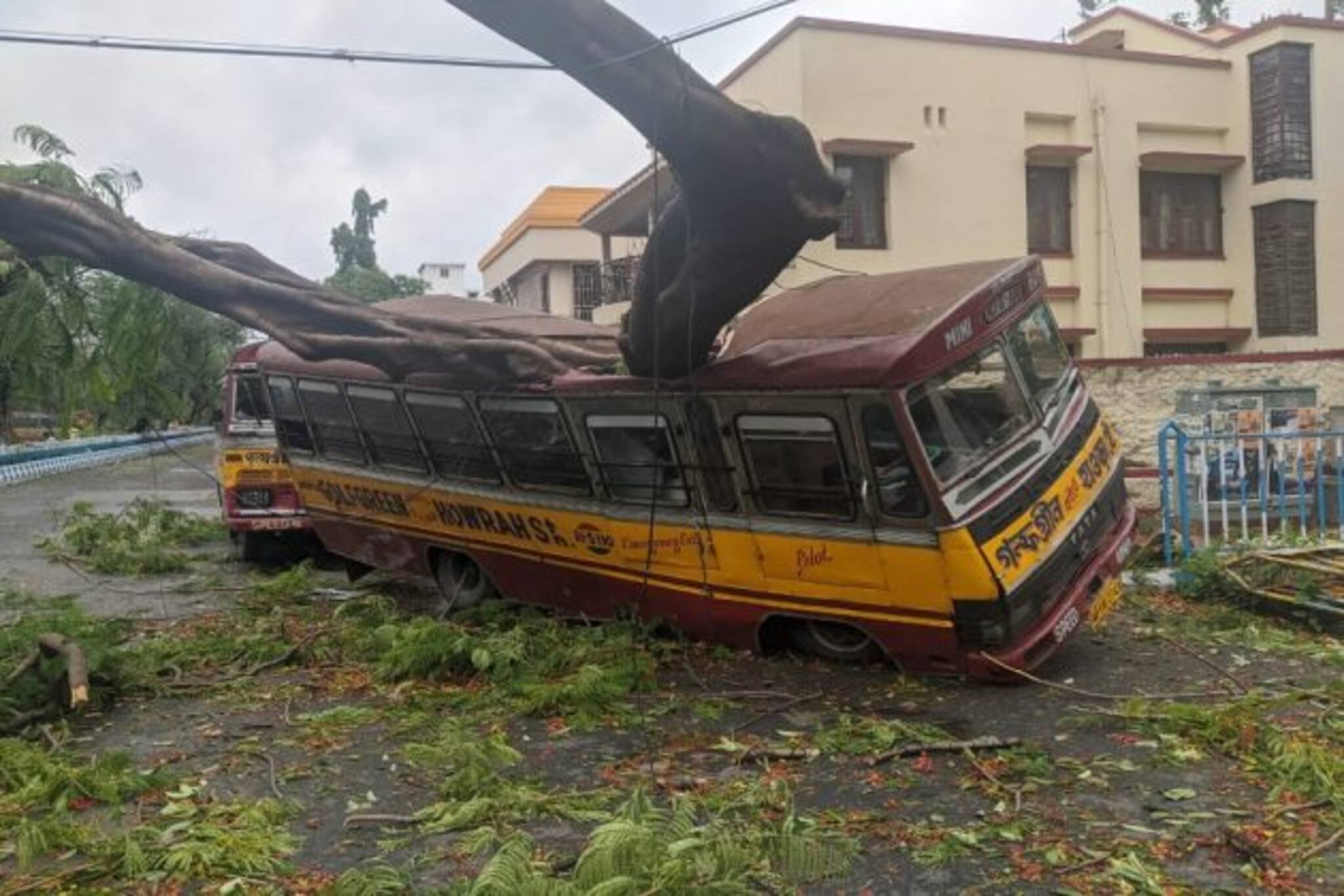ঘূর্ণিঝড় আমফানে রাজ্যে বলি ৭২, কলকাতায় ১৫, জানালেন মুখ্যমন্ত্রী
