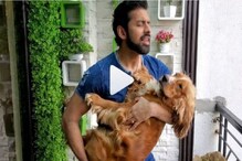 পোষা কুকুরের সঙ্গে কথা বলে কাটছে অঙ্কুশের লকডাউন ! দেখুন মজার ভিডিও পোষা কুকুরের সঙ্গে কথা বলে কাটছে অঙ্কুশের লকডাউন ! দেখুন মজার ভিডিও
