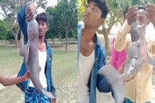 নির্যাতন শুরু! ৩০ বছর পর গঙ্গায় ফিরে আসা ডলফিন ধরে নির্মম অত্যাচার চালাল যুবক! নির্যাতন শুরু! ৩০ বছর পর গঙ্গায় ফিরে আসা ডলফিন ধরে নির্মম অত্যাচার চালাল যুবক!