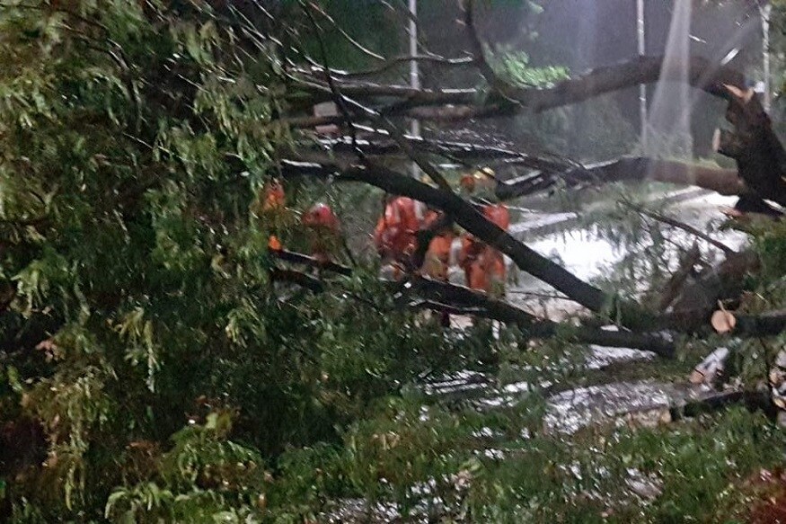 সবথেকে খারাপ অবস্থা কুলপি, গোসাবা, সাগর, বকখালি, কাকদ্বীপ, ক্যানিং, হিঙ্গলগঞ্জ, বারাসত, ভাদুলিয়া, বারাকপুরের। এই জায়গাগুলিতে নতুন করে খুঁটি বসিয়ে তার টানতে হবে সবথেকে খারাপ অবস্থা কুলপি, গোসাবা, সাগর, বকখালি, কাকদ্বীপ, ক্যানিং, হিঙ্গলগঞ্জ, বারাসত, ভাদুলিয়া, বারাকপুরের। এই জায়গাগুলিতে নতুন করে খুঁটি বসিয়ে তার টানতে হবে
