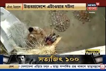 চরম পুলিশি নির্মমতা...বিশেষ চাহিদাসম্পন্ন যুবকের বুকে পা তুলে ভয়ঙ্করভাবে লাঠিপেটা, ভাইরাল ভিডিও চরম পুলিশি নির্মমতা...বিশেষ চাহিদাসম্পন্ন যুবকের বুকে পা তুলে ভয়ঙ্করভাবে লাঠিপেটা, ভাইরাল ভিডিও