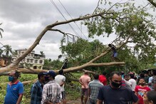 আবার সবুজ করতে হবে কলকাতাকে, একযোগে কাজ করবে বন ও নগরায়ন দফতর আবার সবুজ করতে হবে কলকাতাকে, একযোগে কাজ করবে বন ও নগরায়ন দফতর