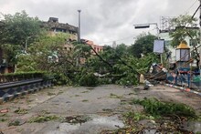 আমফানে বিপর্যস্ত কলকাতা, গাছ পড়ে বন্ধ শেক্সপিয়ার সরণি, আনোয়ার শাহ রোড