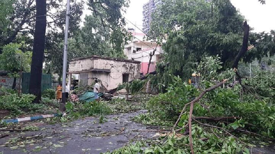 গাছ পড়ে অবরুদ্ধ রাস্তা। শেক্সপিয়ার সরণি থেকে এন্টালি, আনোয়ার শাহ রোড। বন্ধ শহরের অসংখ্য রাস্তা। গাছ পড়ে অবরুদ্ধ রাস্তা। শেক্সপিয়ার সরণি থেকে এন্টালি, আনোয়ার শাহ রোড। বন্ধ শহরের অসংখ্য রাস্তা।