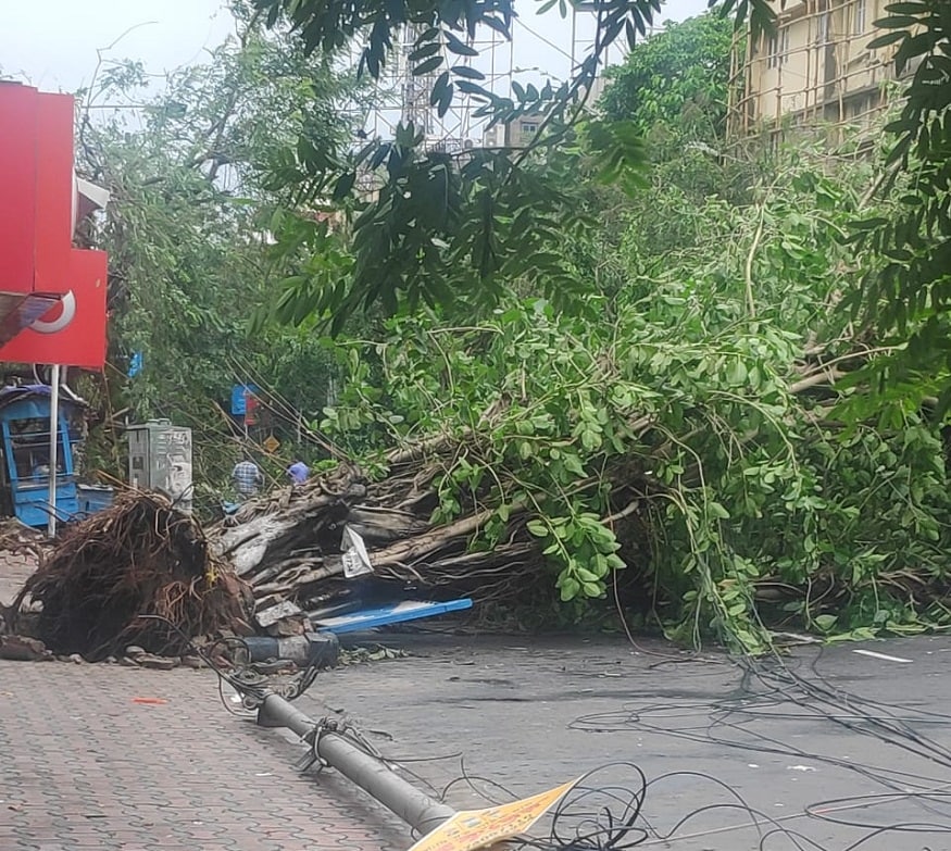 বুধবার তীব্র হাওয়ার দাপটে কলকাতা শহরে বড় বড় গাছ উপড়ে পড়ে রাস্তায়। উপড়ে যায় বিদ্যুতের খুঁটি। ঝড় আসার আগেই বন্ধ করে দেওয়া হয় বিদ্যুৎ সংযোগ। পরিস্থিতি এখনও স্বাভাবিক হয়নি। কারণ, সরানো যায়নি ভেঙে পড়া গাছ। বুধবার তীব্র হাওয়ার দাপটে কলকাতা শহরে বড় বড় গাছ উপড়ে পড়ে রাস্তায়। উপড়ে যায় বিদ্যুতের খুঁটি। ঝড় আসার আগেই বন্ধ করে দেওয়া হয় বিদ্যুৎ সংযোগ। পরিস্থিতি এখনও স্বাভাবিক হয়নি। কারণ, সরানো যায়নি ভেঙে পড়া গাছ।