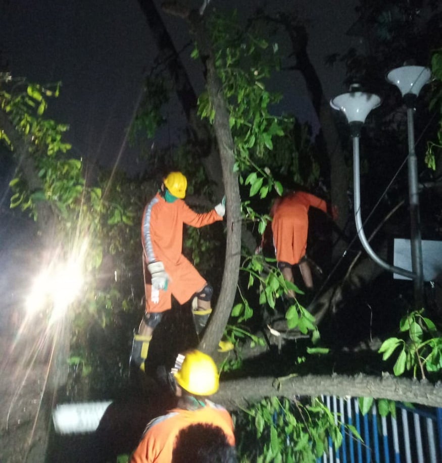 সেনা ও এন ডি আর এফ এর টিম এস পি মুখার্জি রোড, সাদার্ন এভেনু হয়ে গোল পার্ক পর্যন্ত রাস্তার গাছ কেটে পরিষ্কার করল এদিন। সেনা ও এন ডি আর এফ এর টিম এস পি মুখার্জি রোড, সাদার্ন এভেনু হয়ে গোল পার্ক পর্যন্ত রাস্তার গাছ কেটে পরিষ্কার করল এদিন।