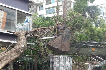 গাছ সরিয়ে শহরের রাস্তা পরিষ্কার করতে জোরকদমে কাজ করছে সেনা, দেখুন ছবি