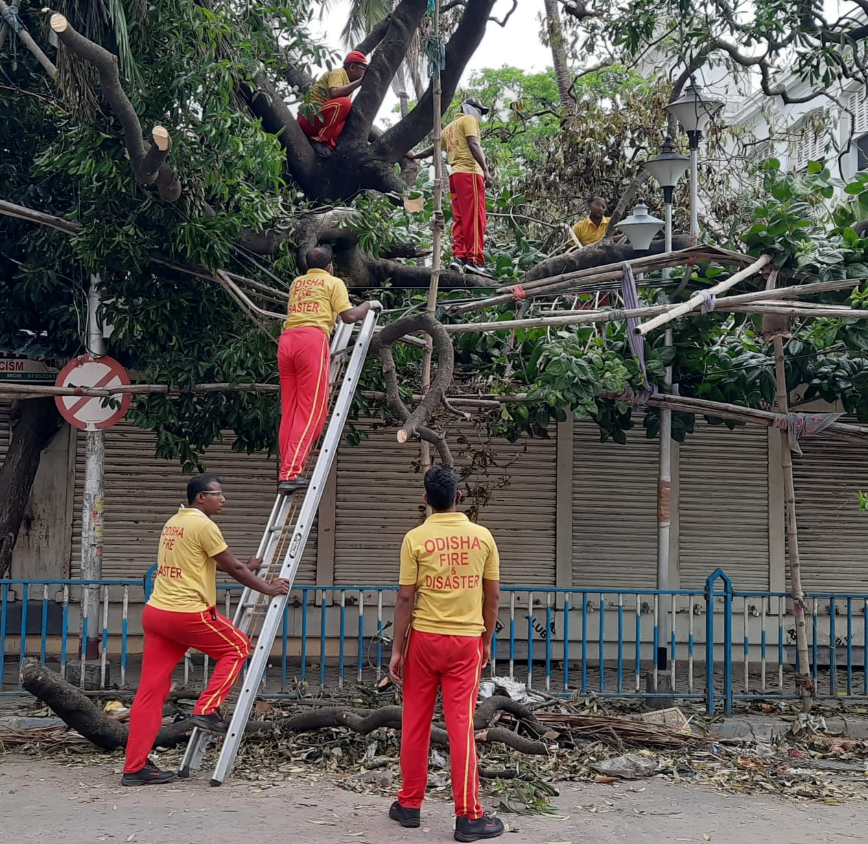 • ৩৭৫ জনের উদ্ধারকারী দল রবিবার রাজ্যে পৌঁছানোর পর সোমবার থেকেই কলকাতা-সহ ক্ষতিগ্রস্ত বিভিন্ন এলাকায় পৌঁছে গিয়েছে। বিভিন্ন দলে ভাগ হয়ে কোথাও পুলিশ, কোথাও পুরসভাকে সাহায্য করছে ওড়িশার এই দলটি। • ৩৭৫ জনের উদ্ধারকারী দল রবিবার রাজ্যে পৌঁছানোর পর সোমবার থেকেই কলকাতা-সহ ক্ষতিগ্রস্ত বিভিন্ন এলাকায় পৌঁছে গিয়েছে। বিভিন্ন দলে ভাগ হয়ে কোথাও পুলিশ, কোথাও পুরসভাকে সাহায্য করছে ওড়িশার এই দলটি।