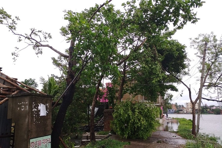 পূর্ব মেদিনীপুরে আমফানের বলি ৬। পশ্চিম মেদিনীপুরে ২ জনের মৃত্যু। মিনাখাঁয় গাছ পড়ে মৃত এক মহিলা। পূর্ব মেদিনীপুরে আমফানের বলি ৬। পশ্চিম মেদিনীপুরে ২ জনের মৃত্যু। মিনাখাঁয় গাছ পড়ে মৃত এক মহিলা।