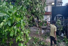আমফানে বিপর্যস্ত বিদ্যুৎ পরিষেবা, রাজ্যের ৬০% সাবস্টেশনই ক্ষতিগ্রস্ত