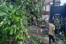 গাছ পড়ে অবরুদ্ধ, গর্ভবতী ও প্রবীণ নাগরিকদের নিয়ে চরম চিন্তা কলকাতার আবাসনে গাছ পড়ে অবরুদ্ধ, গর্ভবতী ও প্রবীণ নাগরিকদের নিয়ে চরম চিন্তা কলকাতার আবাসনে