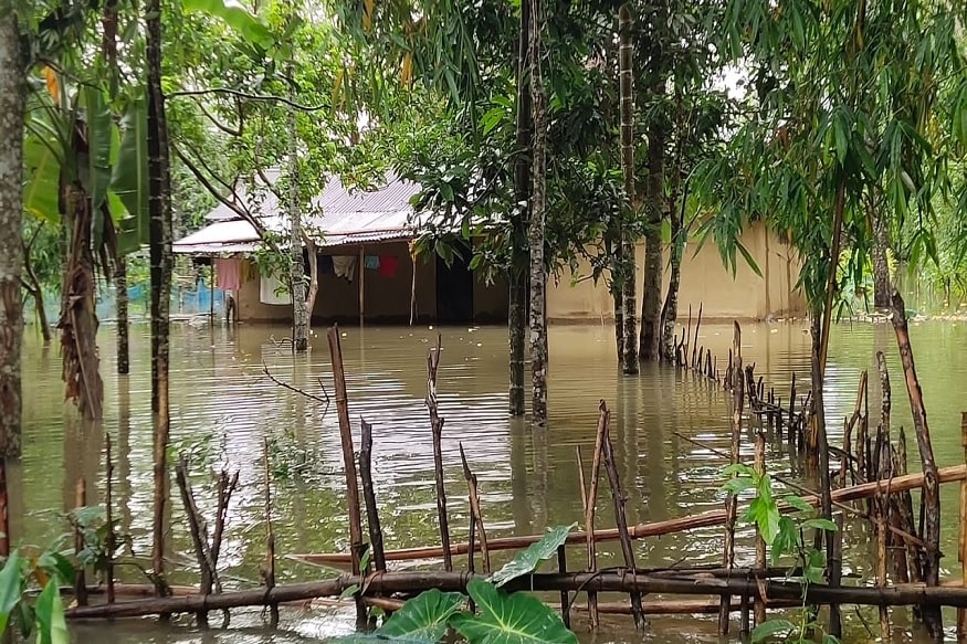 ধেমাজি, লক্ষ্মীপুর, নওগা, হাজই, দারং, বরপেটা, নলবাড়ি, গোয়ালপাড়া, পশ্চিম করবি , ডিব্রুগড়, তিনসুকিয়া জেলার বিস্তীর্ণ অঞ্চল এখন জলের তলায়। ধেমাজি, লক্ষ্মীপুর, নওগা, হাজই, দারং, বরপেটা, নলবাড়ি, গোয়ালপাড়া, পশ্চিম করবি , ডিব্রুগড়, তিনসুকিয়া জেলার বিস্তীর্ণ অঞ্চল এখন জলের তলায়।