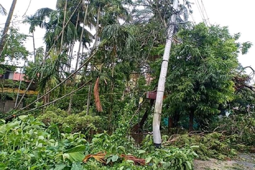 একাধিক জায়গায় গাছ পড়ে স্তব্ধ বাসন্তী হাইওয়ে, হাইওয়েতে লম্বা গাড়ির লাইন। আটকে রয়েছে ট্রাকও।