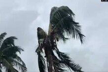 সকাল থেকেই উত্তাল বকখালির সমুদ্র, আশ্রয়কেন্দ্র সরিয়ে আনা হল স্থানীয়দের সকাল থেকেই উত্তাল বকখালির সমুদ্র, আশ্রয়কেন্দ্র সরিয়ে আনা হল স্থানীয়দের