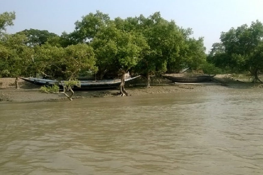 আইএমডি কলকাতার ডিরেক্টর জি সি দাস জানাচ্ছেন, আমফান সুন্দরবনে ব্যাপক ক্ষয়ক্ষতি করবে৷ সবচেয়ে বেশি ক্ষতি হওয়ার সম্ভাবনা বাংলাদেশের উপকূলবর্তী এলাকাগুলি৷ আইএমডি কলকাতার ডিরেক্টর জি সি দাস জানাচ্ছেন, আমফান সুন্দরবনে ব্যাপক ক্ষয়ক্ষতি করবে৷ সবচেয়ে বেশি ক্ষতি হওয়ার সম্ভাবনা বাংলাদেশের উপকূলবর্তী এলাকাগুলি৷
