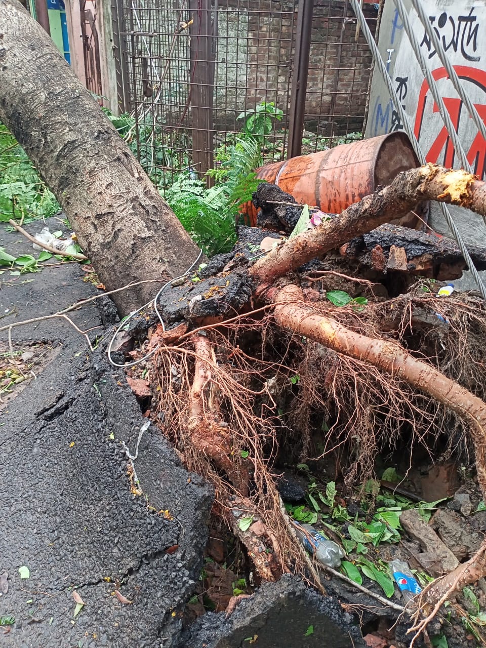 ক্যালকাটা সাইক্লোন। ষাট হাজার মানুষের প্রাণ গিয়েছিল সেই ঘূর্ণিঝড়ে। খিদিরপুর ডক থেকে নোঙর ছিঁড়ে গঙ্গায় ভেসে যায় বহু জাহাজ ৷ ধ্বংস হয়ে যায় খেজুরি ও হিজলি বন্দর ৷ জলস্তর ৪০ ফুট পর্যন্ত উঠে যায় ৷ বন্দরে দাঁড়িয়ে থাকা সব জাহাজ ভেঙে গুড়িয়ে যায় ৷ বহু ইটের বাড়ি, টালির ঘর নষ্ট হয়ে যায় ৷ ঝড়ের সময়ে বাড়ির ভিতর আশ্রয় নেন মানুষ ৷ আচমকা জলে ভেসে যায় গ্রাম ৷ খড়কুটোর মত ভেসে যায় মানুষজন ৷ পরিস্থিতি স্বাভাবিক হতে বহু বছর লাগে ৷ Representational Image ক্যালকাটা সাইক্লোন। ষাট হাজার মানুষের প্রাণ গিয়েছিল সেই ঘূর্ণিঝড়ে। খিদিরপুর ডক থেকে নোঙর ছিঁড়ে গঙ্গায় ভেসে যায় বহু জাহাজ ৷ ধ্বংস হয়ে যায় খেজুরি ও হিজলি বন্দর ৷ জলস্তর ৪০ ফুট পর্যন্ত উঠে যায় ৷ বন্দরে দাঁড়িয়ে থাকা সব জাহাজ ভেঙে গুড়িয়ে যায় ৷ বহু ইটের বাড়ি, টালির ঘর নষ্ট হয়ে যায় ৷ ঝড়ের সময়ে বাড়ির ভিতর আশ্রয় নেন মানুষ ৷ আচমকা জলে ভেসে যায় গ্রাম ৷ খড়কুটোর মত ভেসে যায় মানুষজন ৷ পরিস্থিতি স্বাভাবিক হতে বহু বছর লাগে ৷ Representational Image