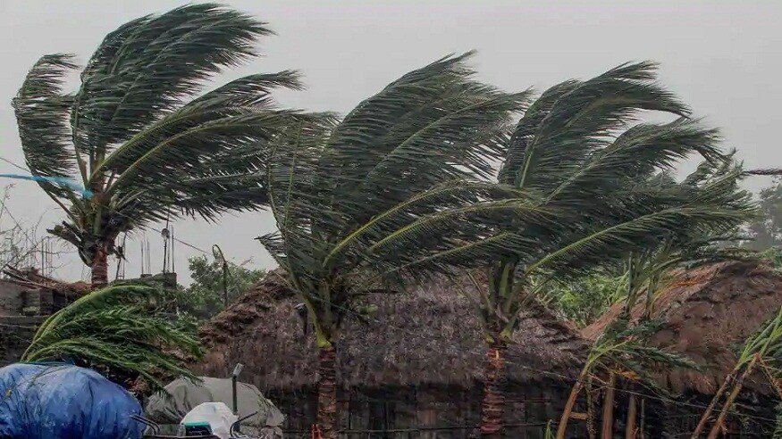 প্রবল ঝড়ে বিদ্যুতের তার ছিঁড়ে পড়েছিল মাটিতে। আজ, বৃহস্পতিবার সকালে বিদ্যুৎস্পৃষ্ট হয়ে মৃত্যু হয় মহিলার। বারাকপুরের ওয়ারলেস মোড়ের ঘটনা। প্রবল ঝড়ে বিদ্যুতের তার ছিঁড়ে পড়েছিল মাটিতে। আজ, বৃহস্পতিবার সকালে বিদ্যুৎস্পৃষ্ট হয়ে মৃত্যু হয় মহিলার। বারাকপুরের ওয়ারলেস মোড়ের ঘটনা।