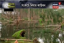 আমফানের দাপটে বিপন্ন বাঙালির প্রিয় দীঘার ঝাউবন, দেখুন এখন সেখানে কী অবস্থা আমফানের দাপটে বিপন্ন বাঙালির প্রিয় দীঘার ঝাউবন, দেখুন এখন সেখানে কী অবস্থা