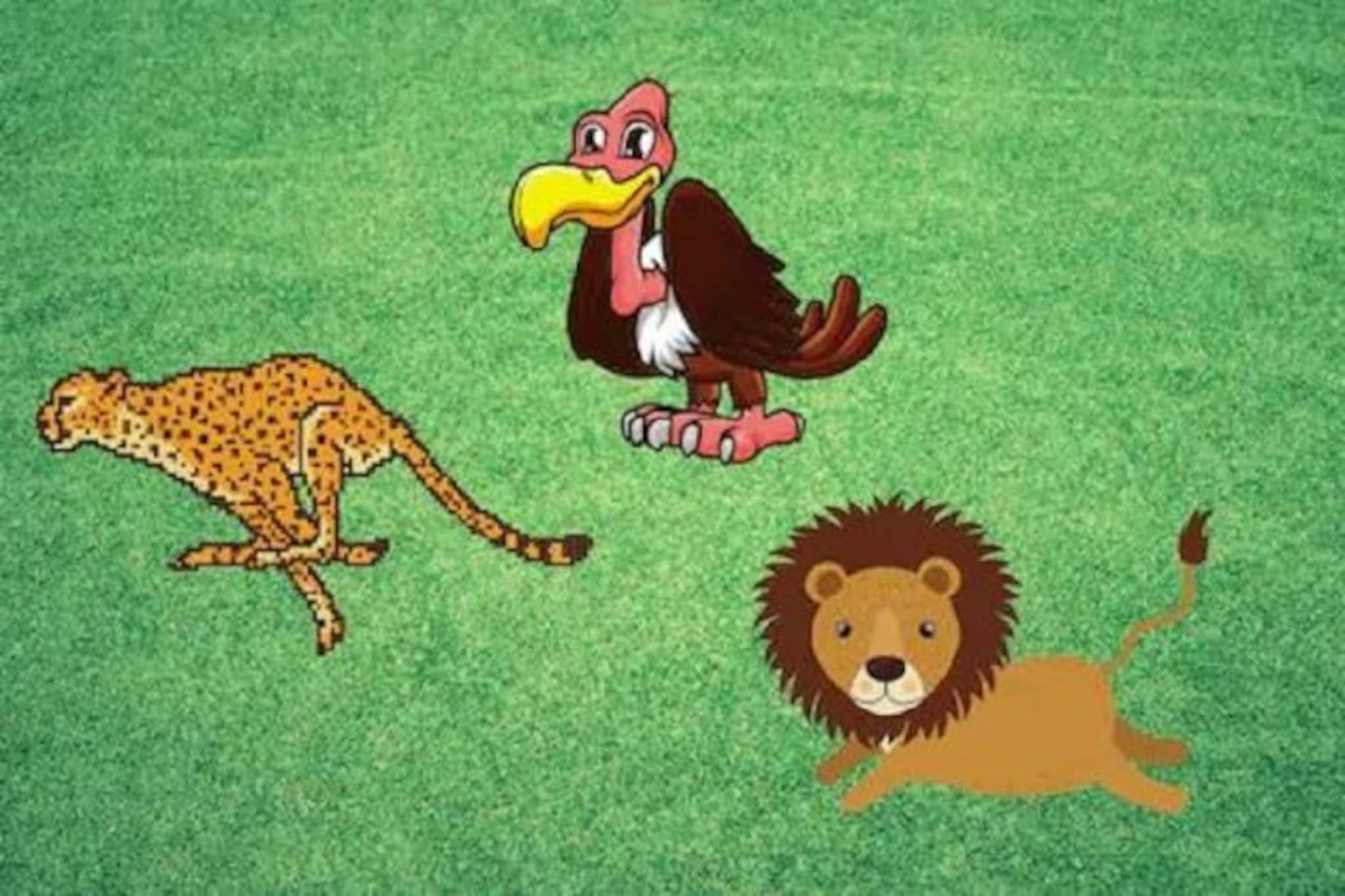 এক ঝাঁক শকুনের ভয়ে শিকার ছেড়ে পালাল চিতা, সেই শিকারেই সিংহের থাবা !