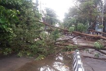 কলকাতার পর কি বেঙ্গালুরু! শুরু ভয়াল বৃষ্টি, সাত দিনের সতর্কতা জারি কলকাতার পর কি বেঙ্গালুরু! শুরু ভয়াল বৃষ্টি, সাত দিনের সতর্কতা জারি
