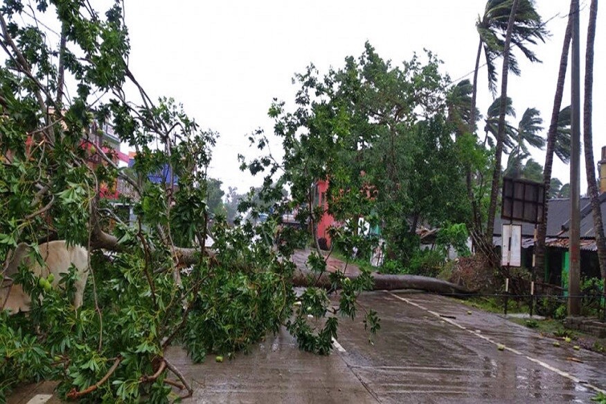 • কলকাতায় আজও আংশিক মেঘলা আকাশ বজ্রবিদ্যুৎ সহ বৃষ্টির সম্ভাবনা সন্ধ্যের দিকে। বাতাসে জলীয় বাষ্প বেশি থাকায় আর্দ্রতা জনিত অস্বস্তি থাকবে। • কলকাতায় আজও আংশিক মেঘলা আকাশ বজ্রবিদ্যুৎ সহ বৃষ্টির সম্ভাবনা সন্ধ্যের দিকে। বাতাসে জলীয় বাষ্প বেশি থাকায় আর্দ্রতা জনিত অস্বস্তি থাকবে।